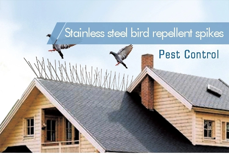 Plastic Bird and Pigeon Spikes Anti Bird Spikes Stainless Steel Pest Control